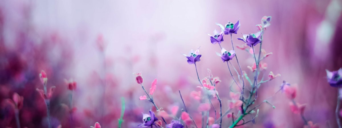 Цветочный фон