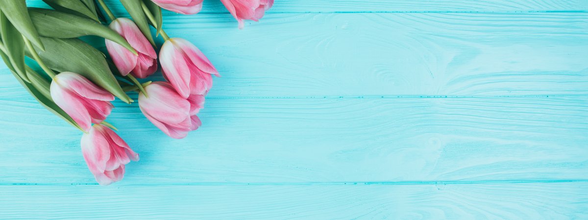 Нежный цветок