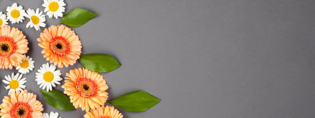 Цветы фон большой размер