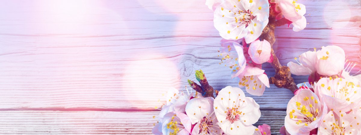 Весенний фон для баннера