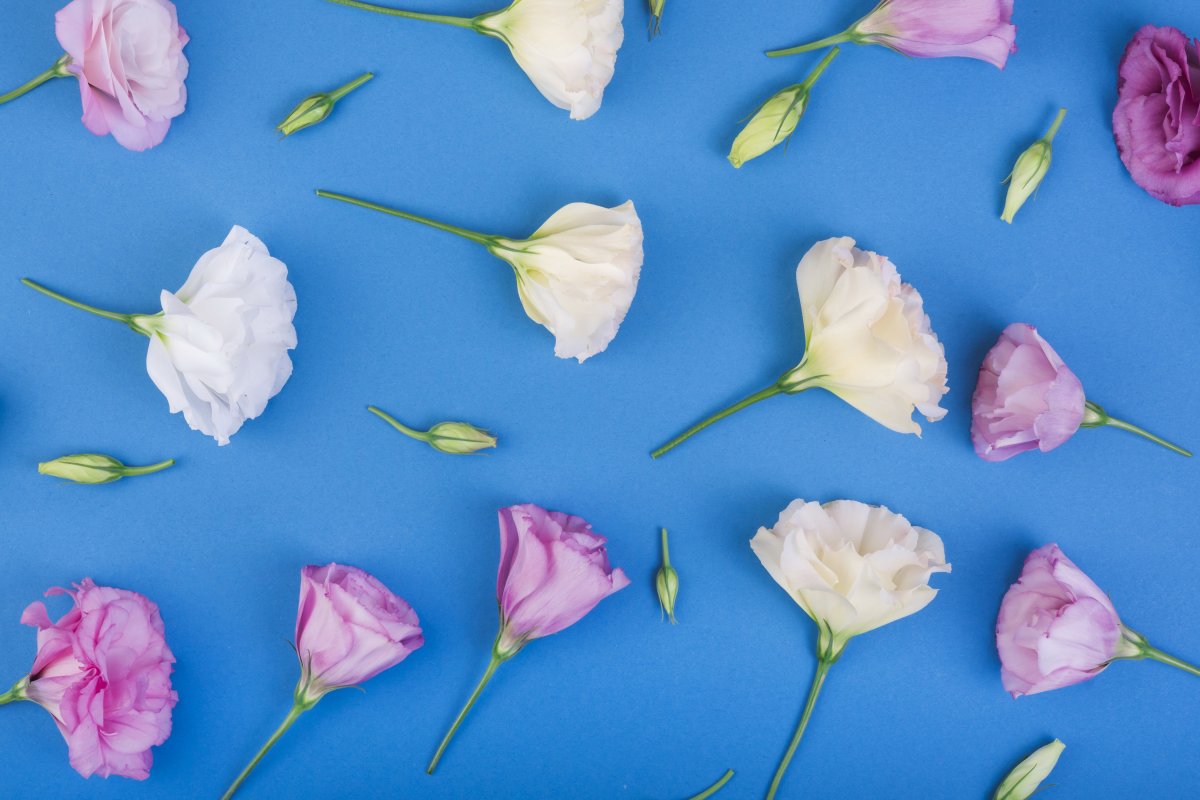 Фоны для баннера в синих оттенках