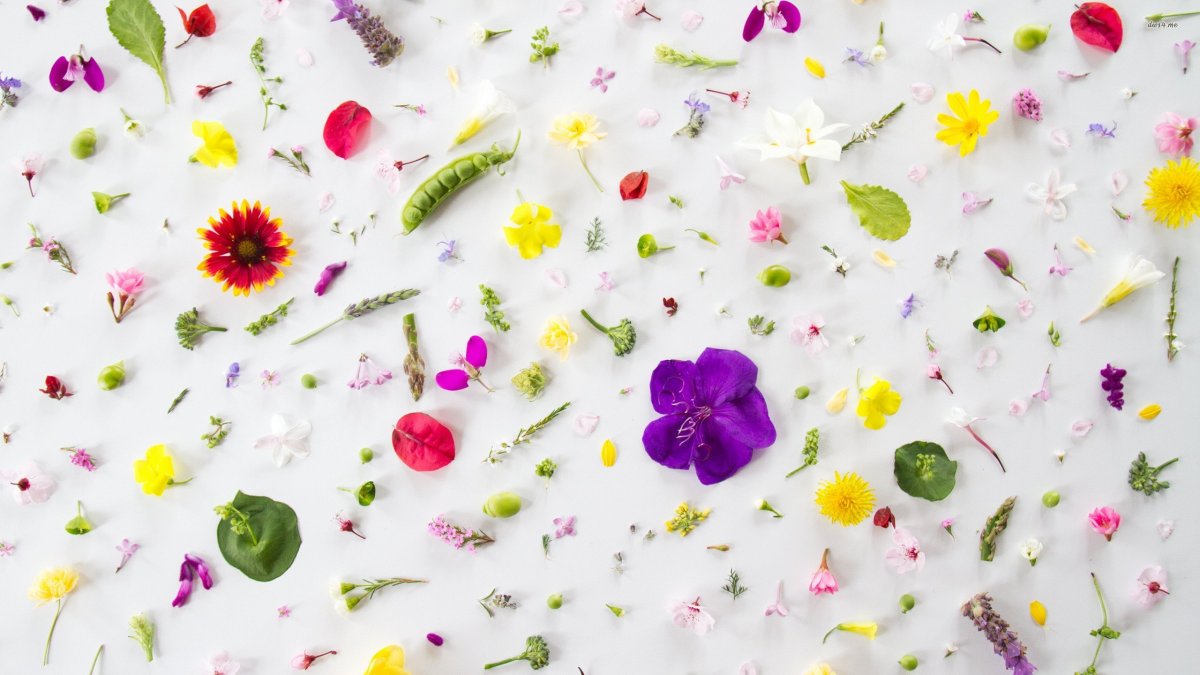 Красивый фон для фейсбука