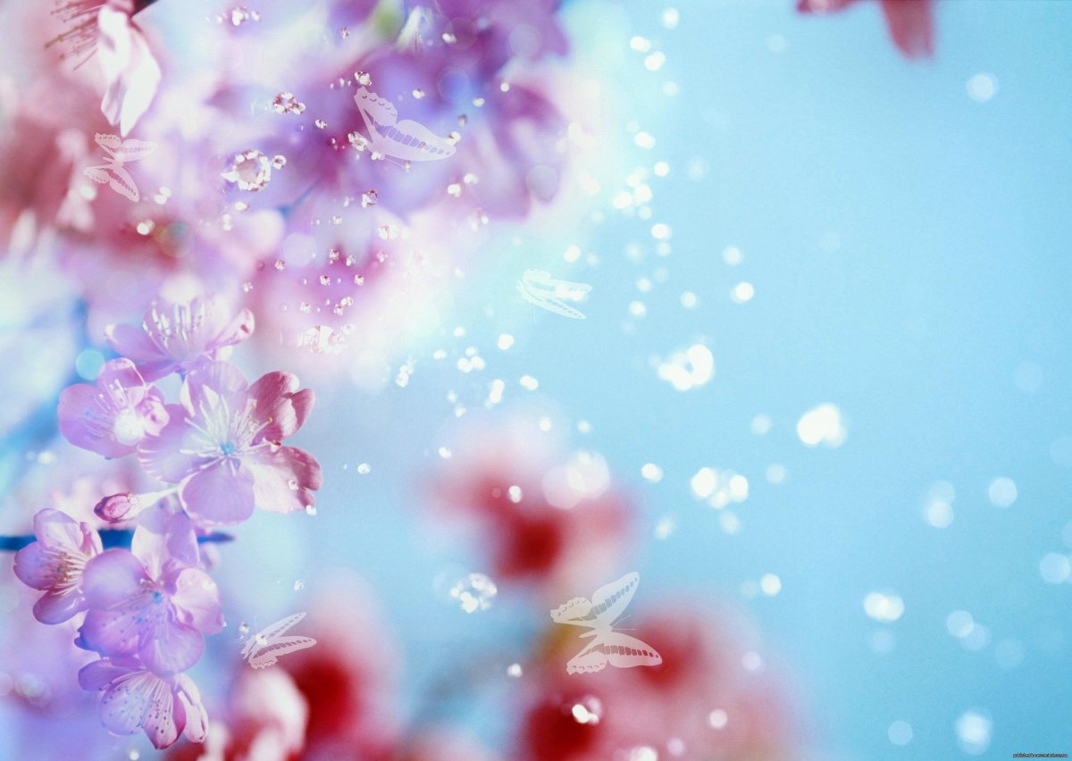 Разноцветные цветы на белом фоне