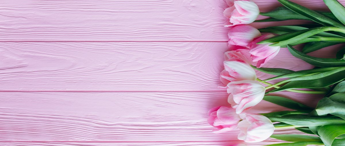 Флокс мелкий сиреневый