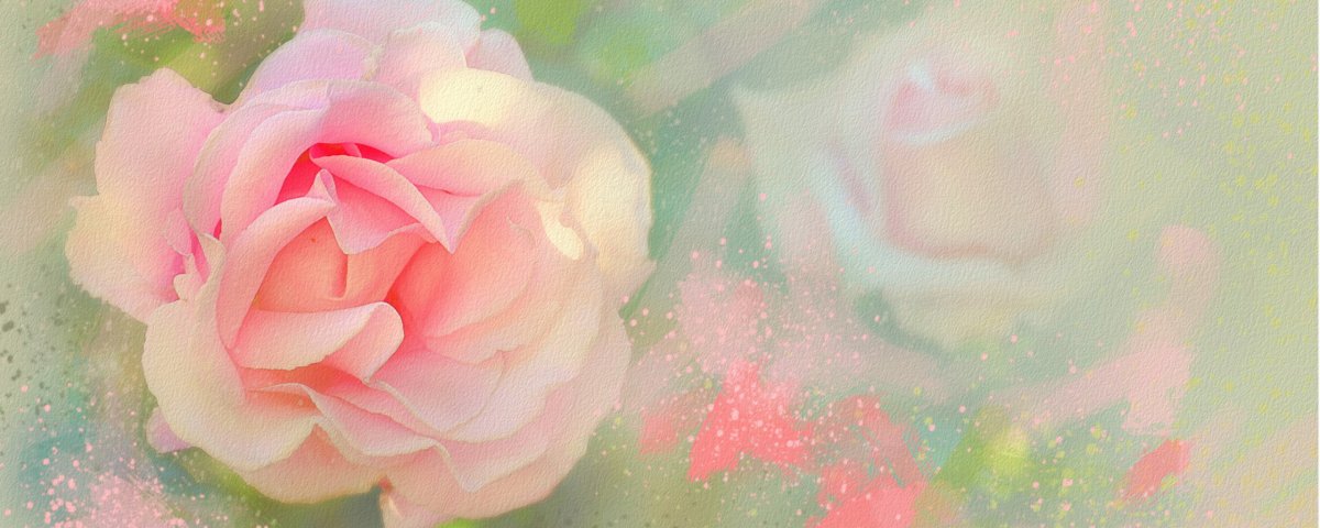 Фон розы пастельные тона