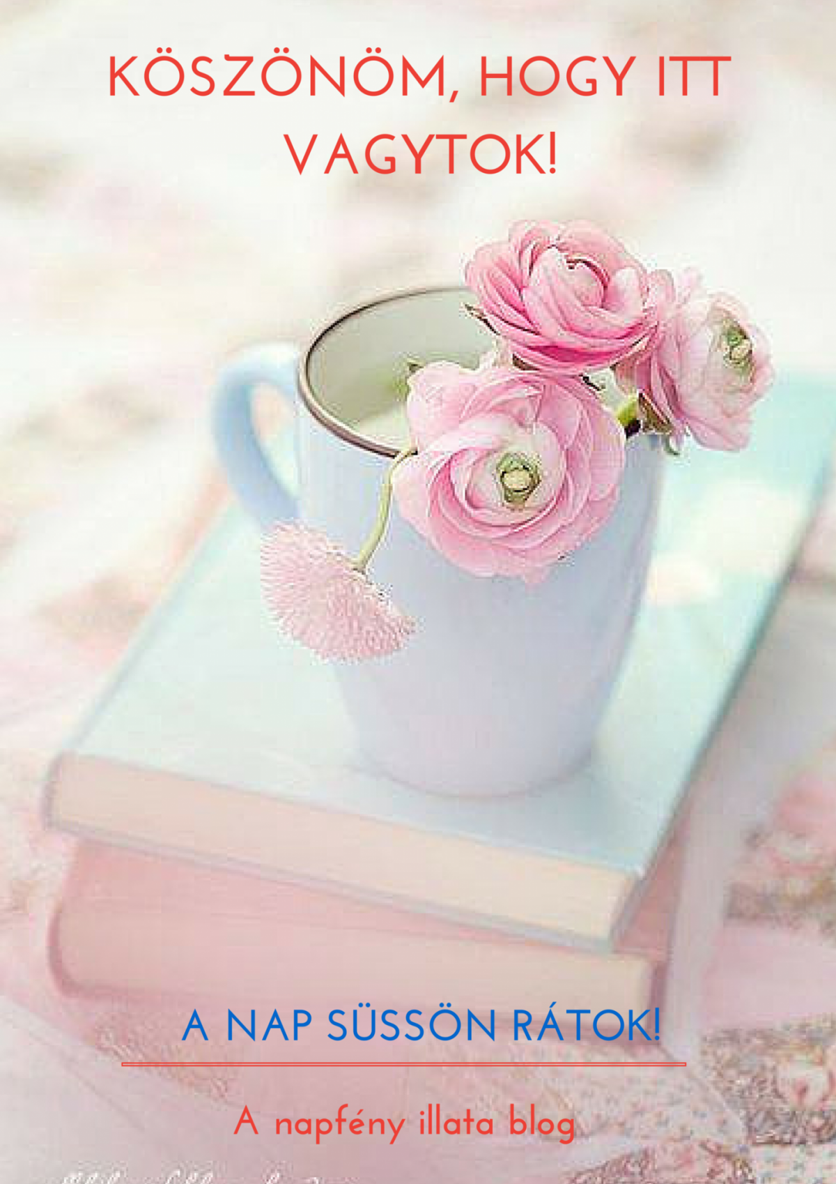 Красивый фон с цветами