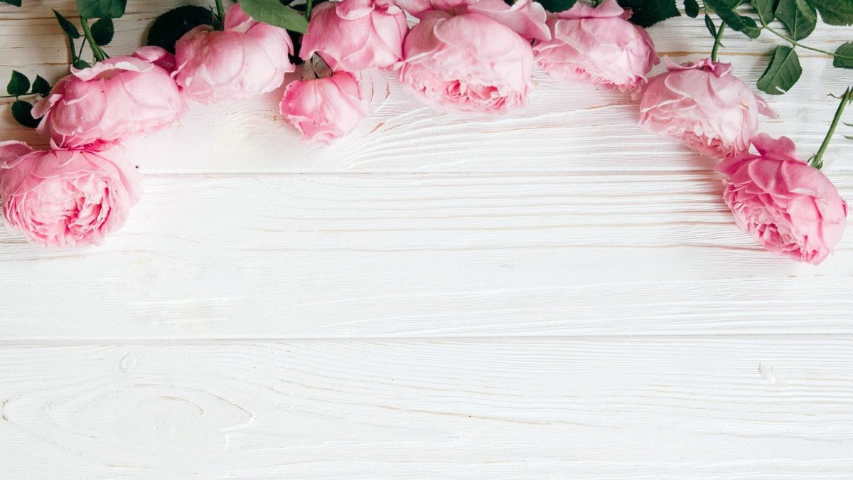 Светлые обои