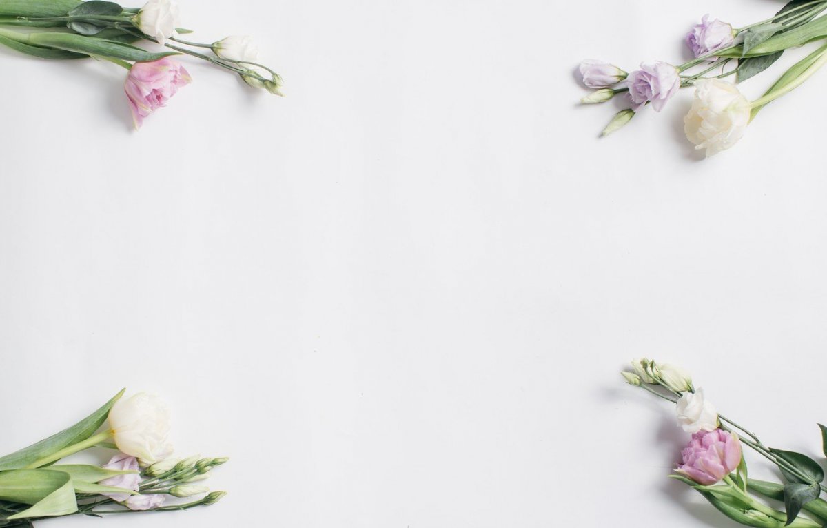 Цветы Минимализм