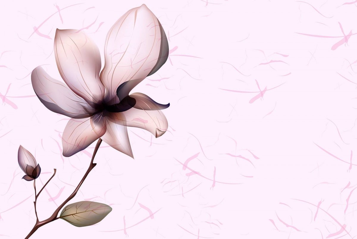 Бежевые цветы на белом фоне