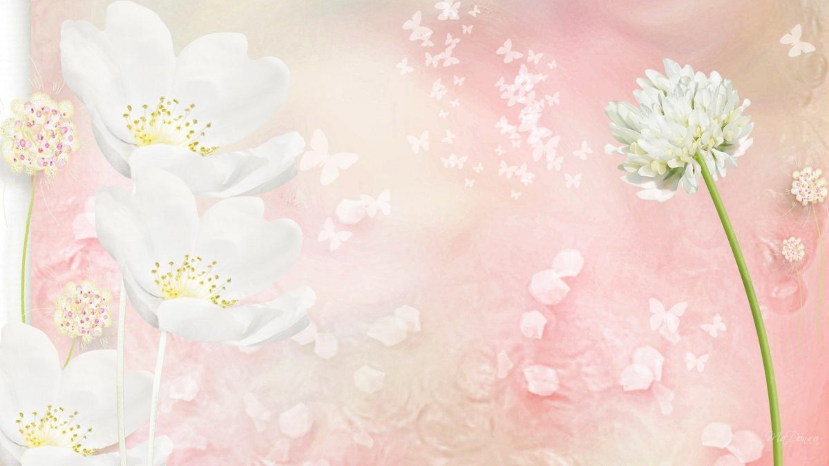 Розовые цветы Минимализм