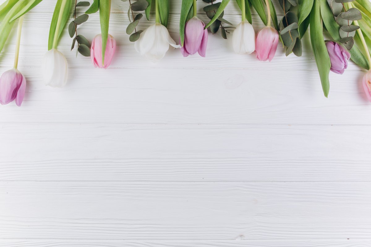 Светлый фон