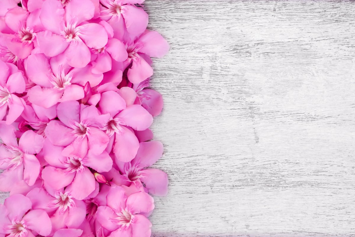 Бежевый фон с узорами