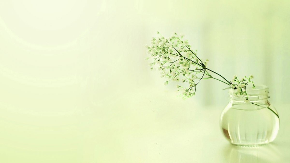 Красивый задний фон салон