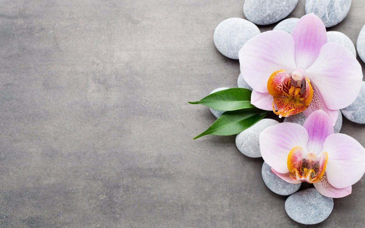 Массаж фон вертикальный