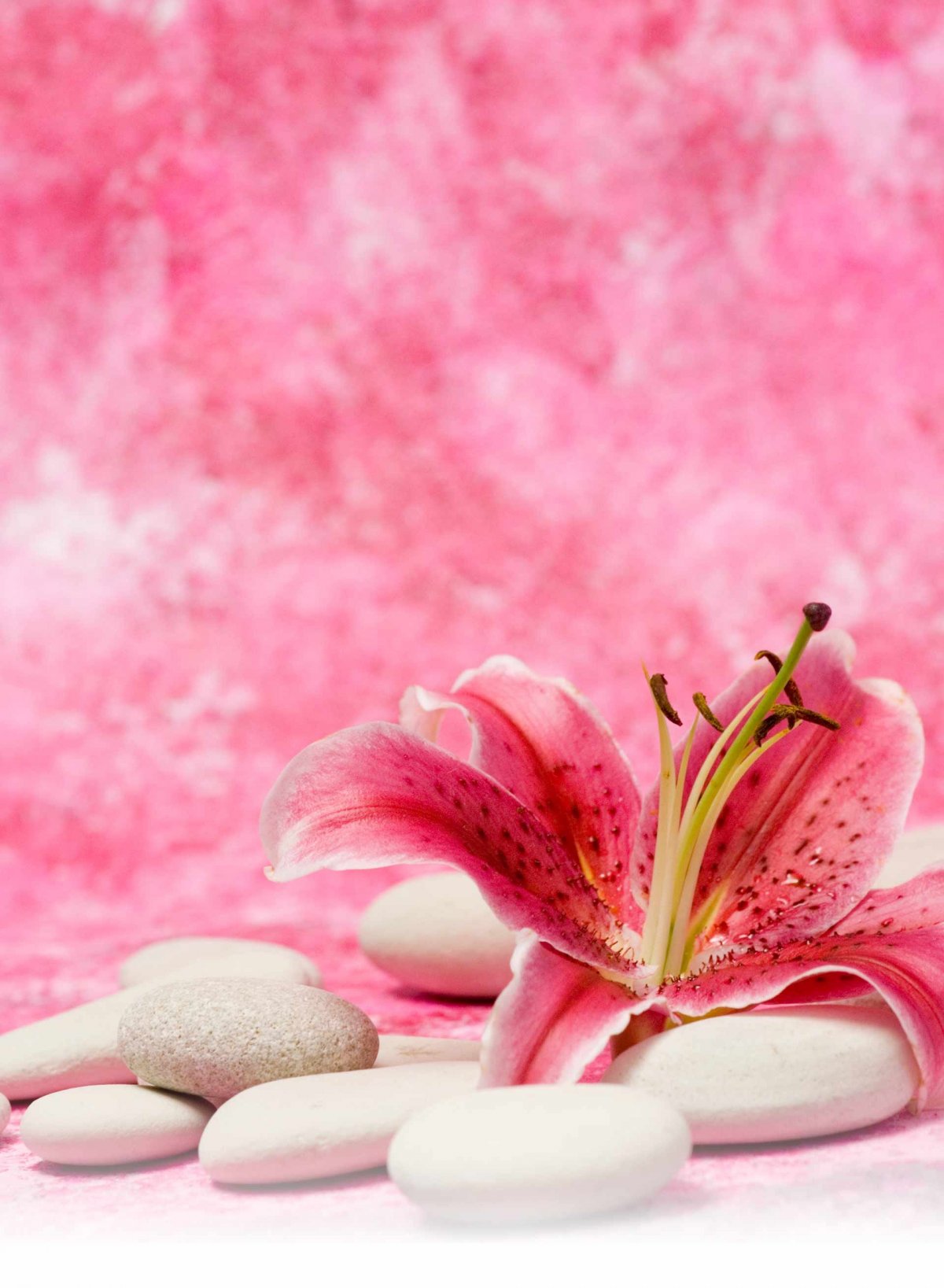 Фотофон для маникюра