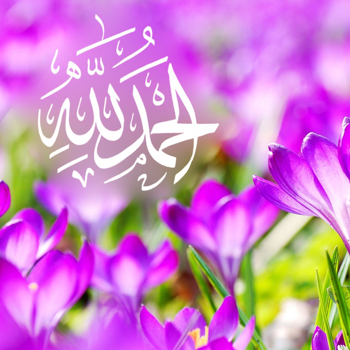 Истигфорлар айтиш