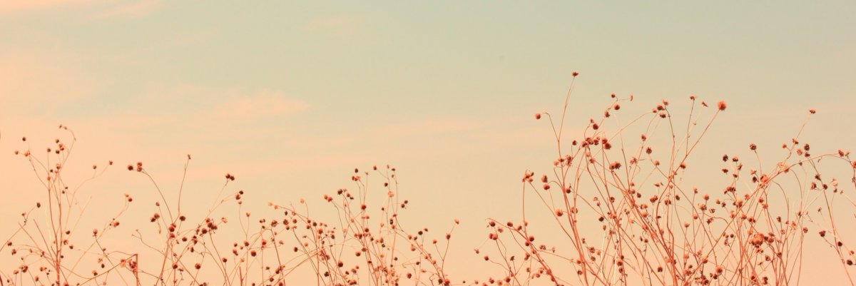 Фон на фикбук