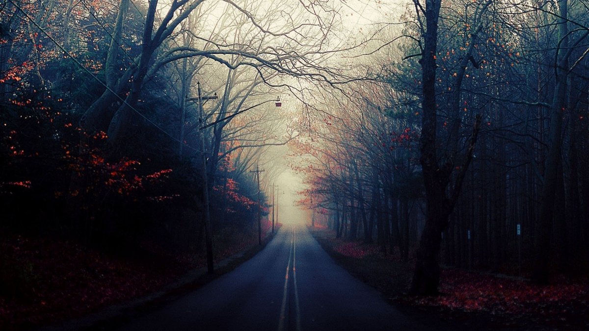 Макото Синкай небо