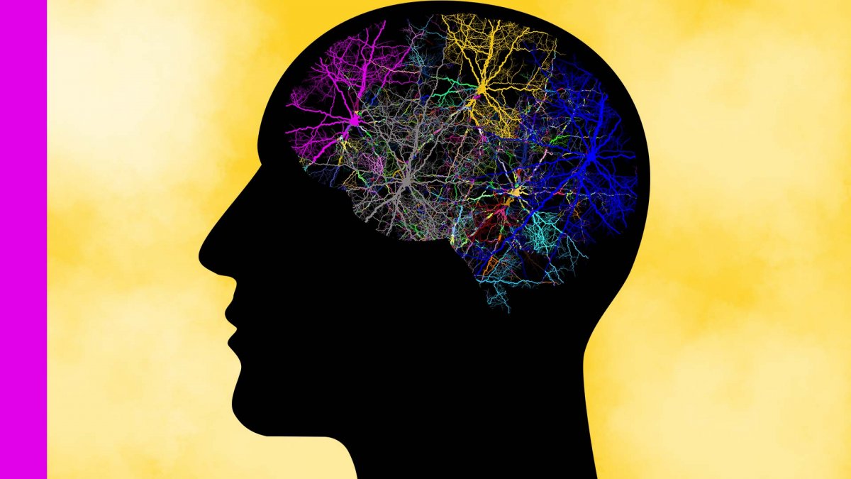 Елена Сырчина