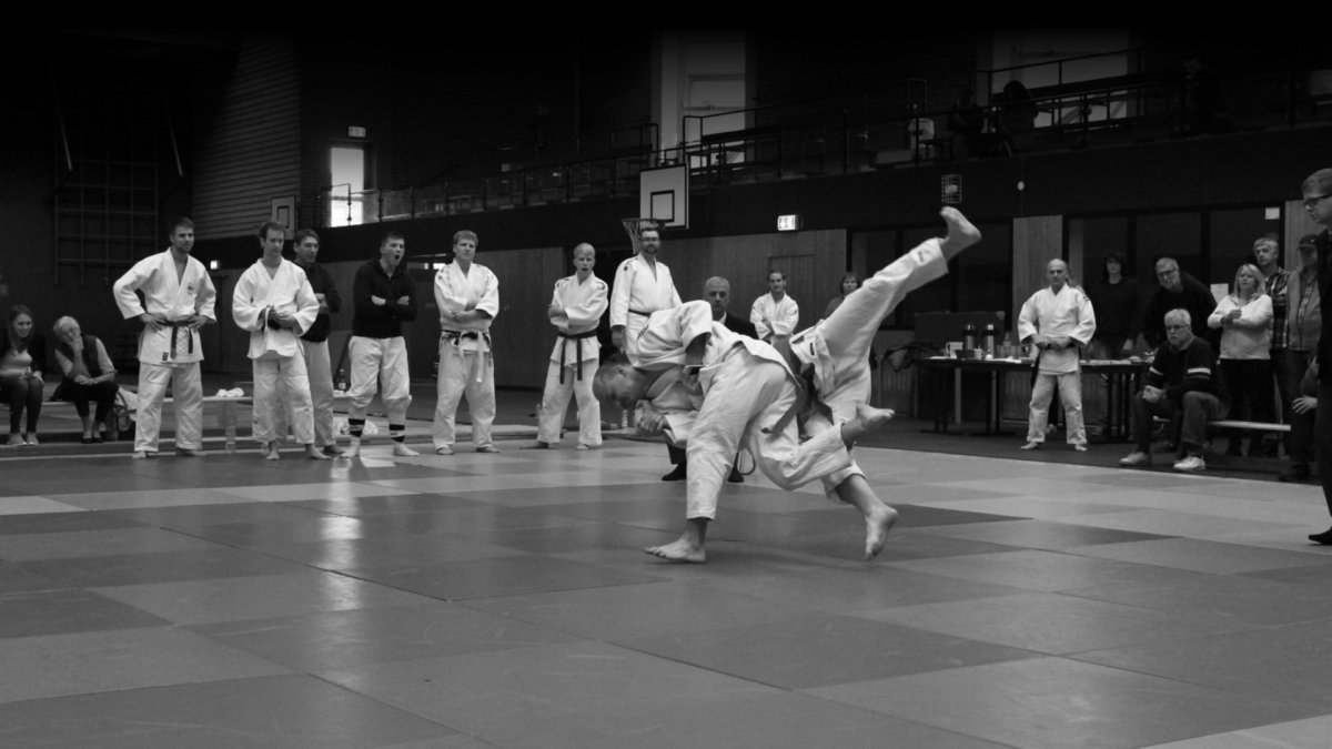 Дзюдо картинки