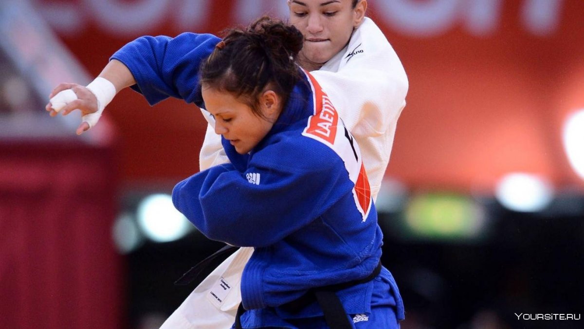 Дзюдо Стефан Цатурян