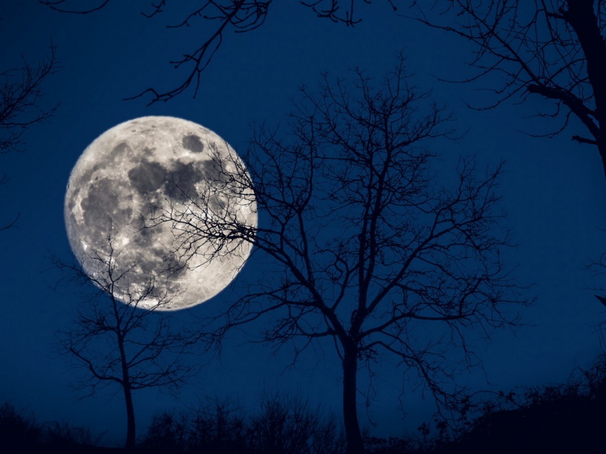 Красивые обои с луной