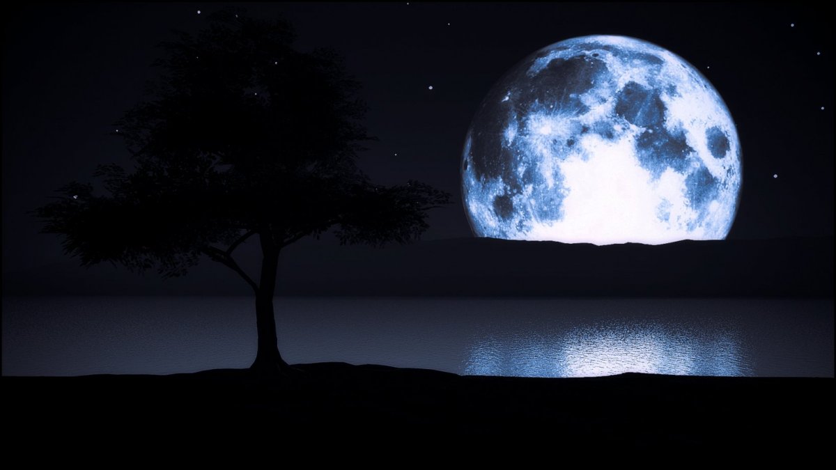 Картинки на рабочий стол лето горы цветы