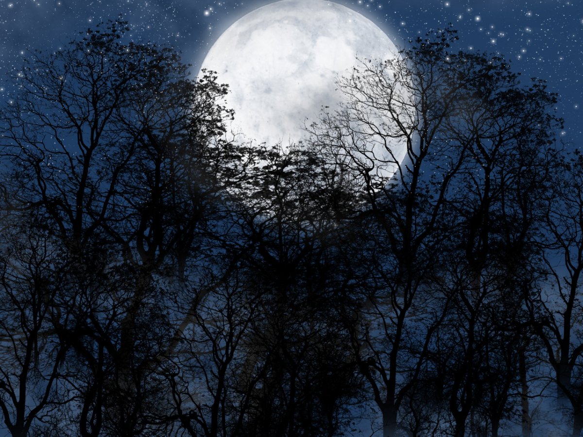 Ночные этюды обои