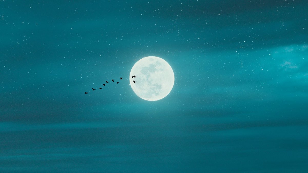 Луна на рабочий стол