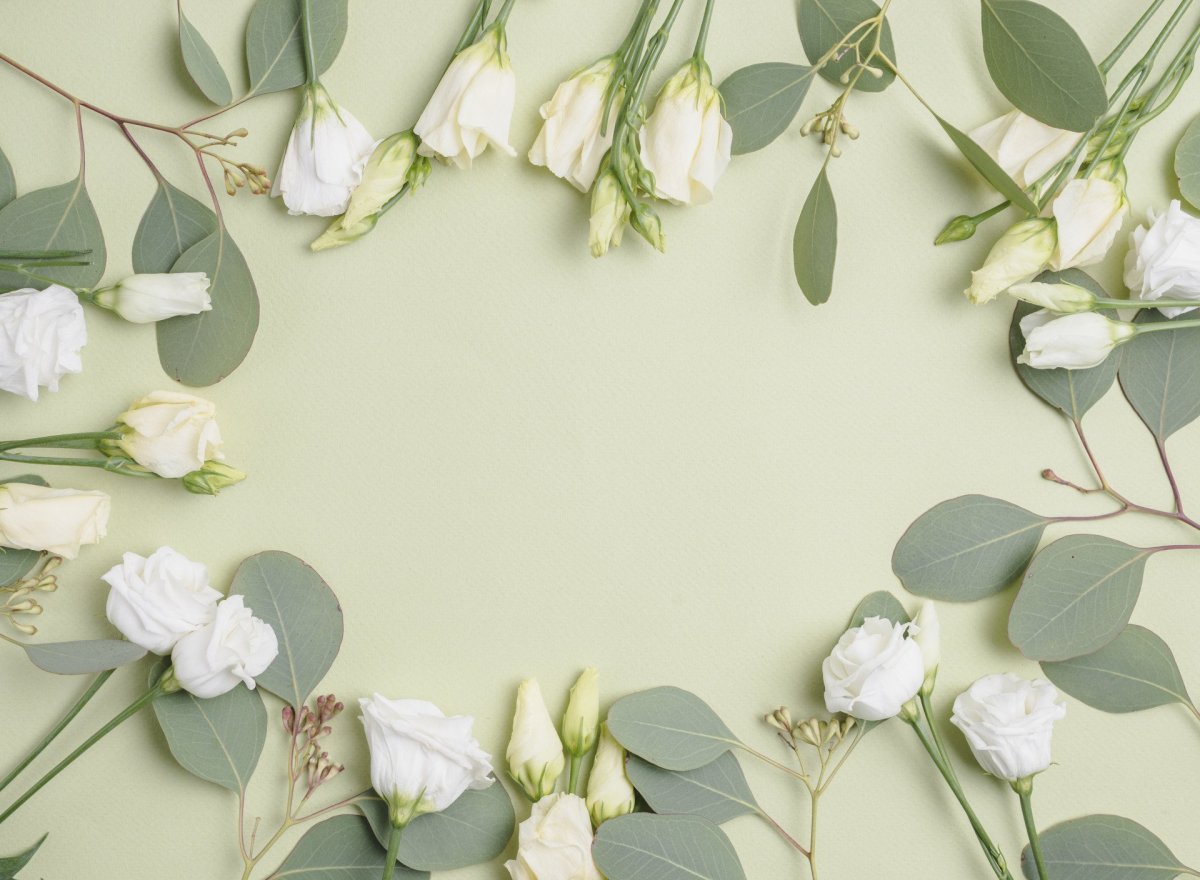 Флористика фон