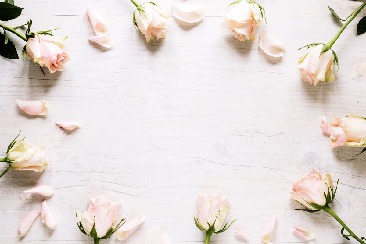 Цветы Минимализм