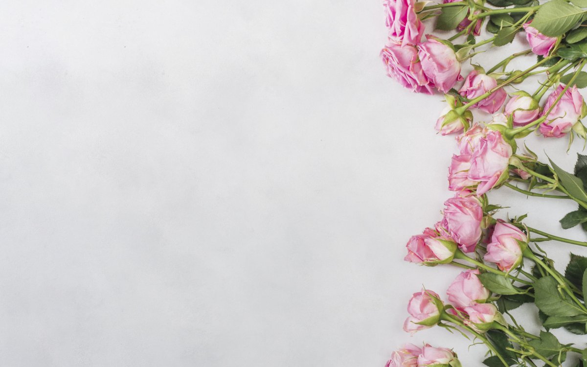 Фотофон розы