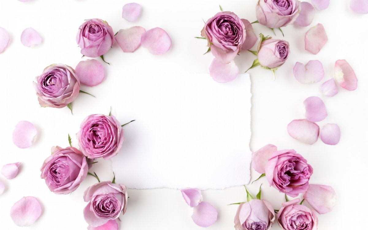 Обои на рабочий стол бежевые