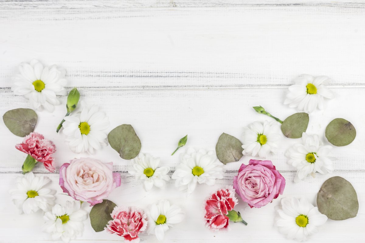 Стильные цветы на белом фоне