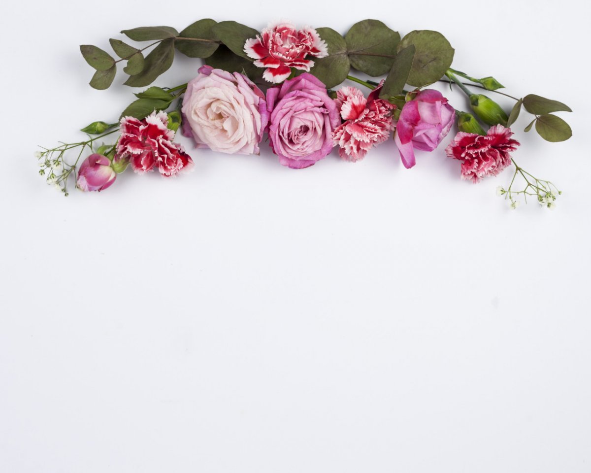 Бежевые розы сиреневые бутоны фон PNG