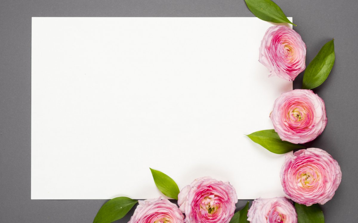 Фотофон розы