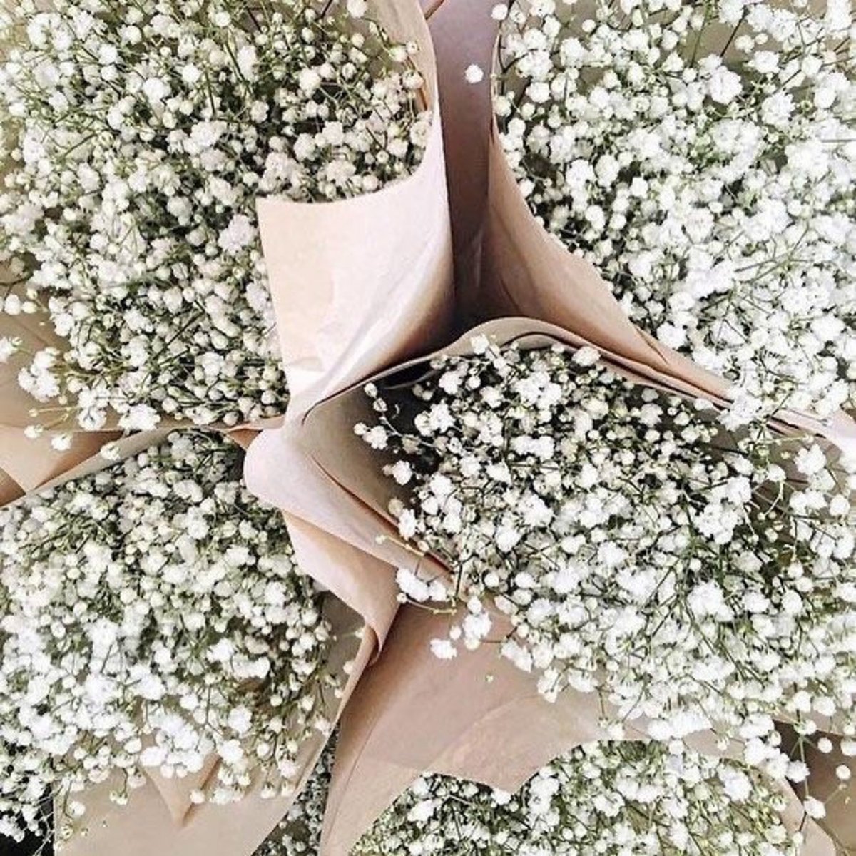 Гипсофила метельчатая букет