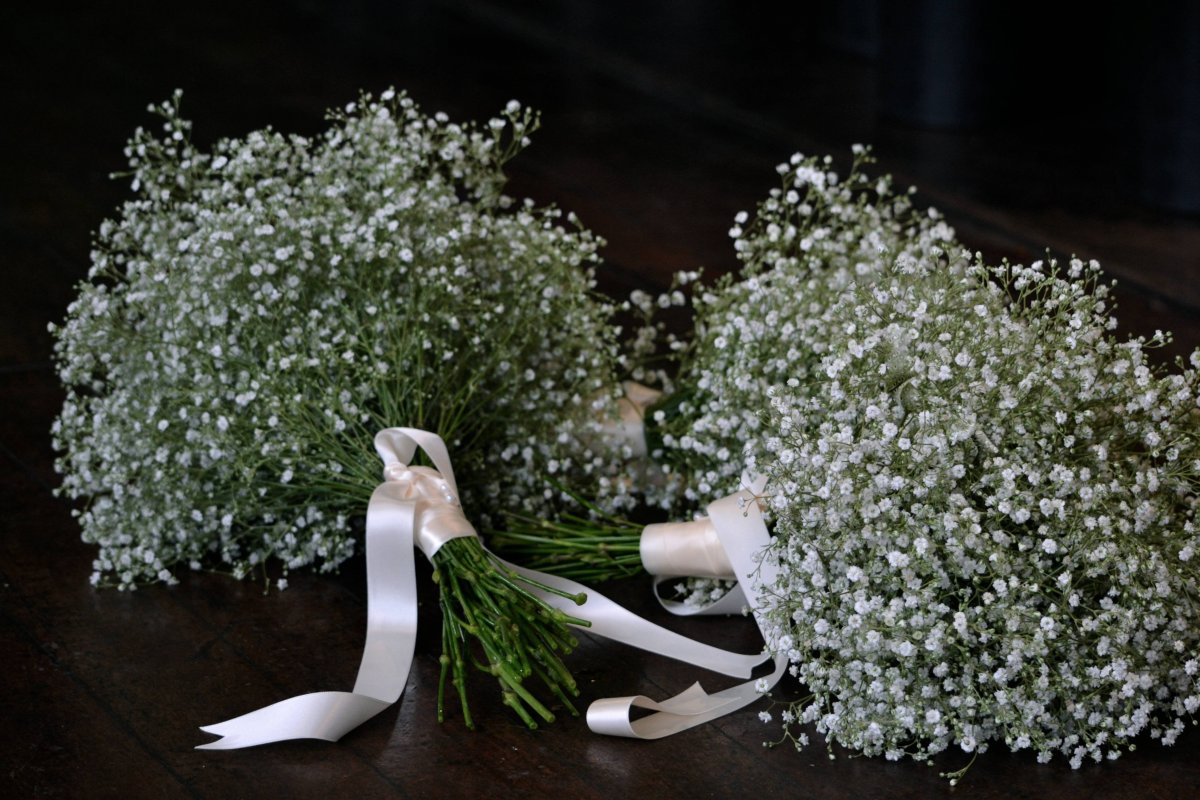 Гипсофила арециевидная