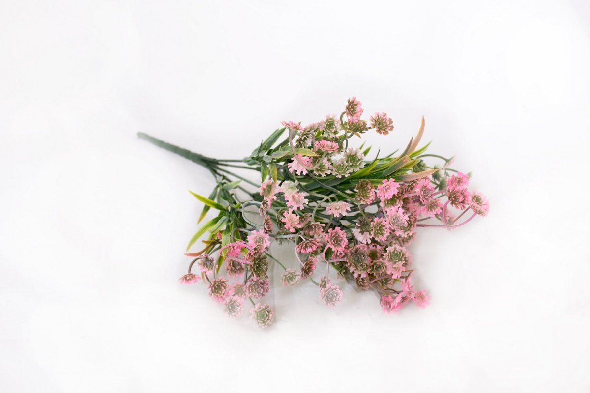 Гипсофила метельчатая веточка розовая