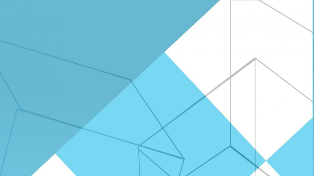 Shape Geometry White wt9shg00 плитка настенная 249*500*8,5