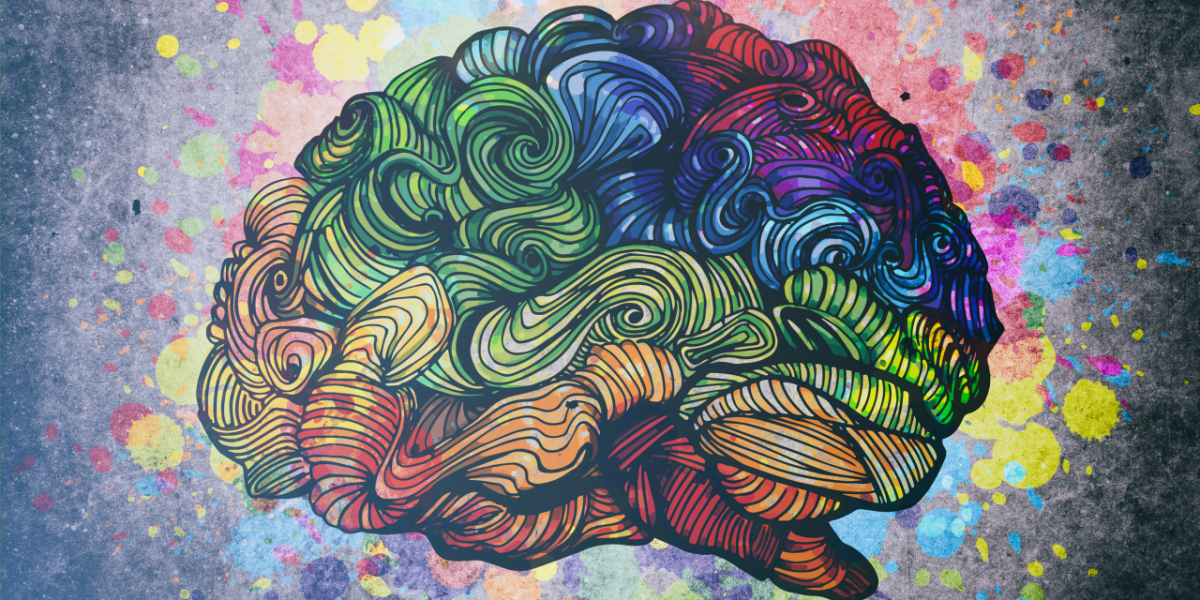 Мозг красиво оформленный