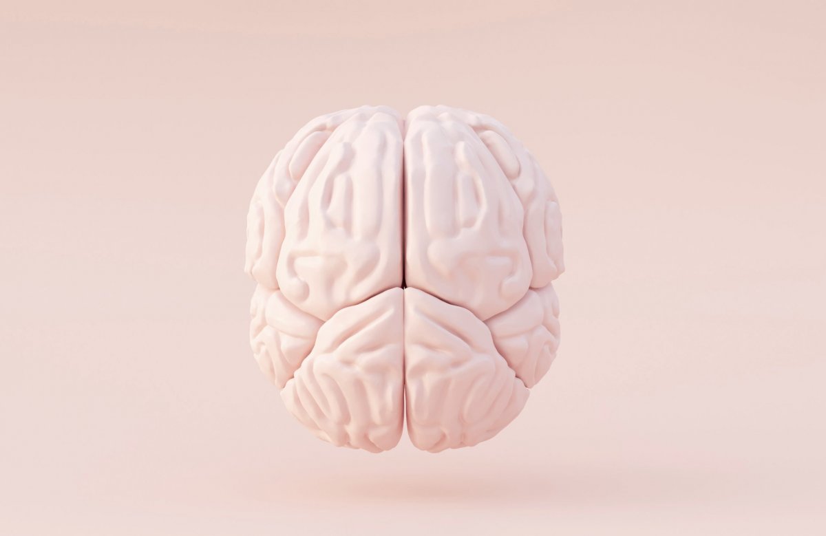 Картинка мозг 95%