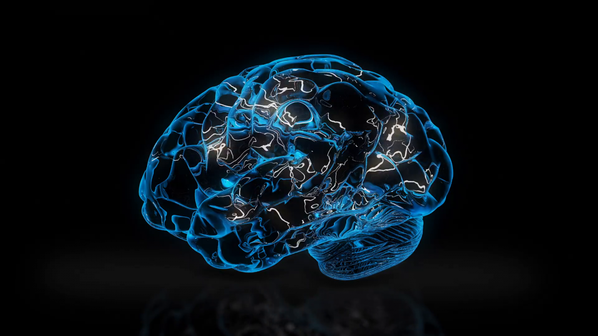 Мозг Минимализм