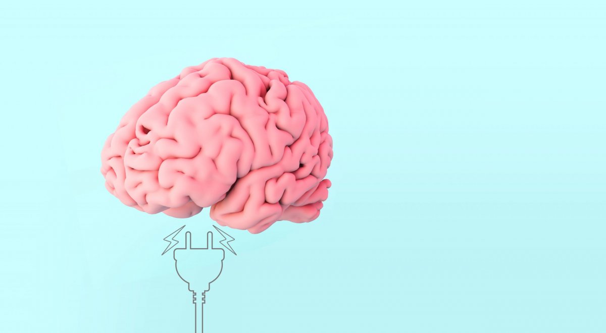 Мозги для презентации