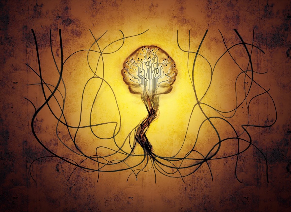 Мозг Минимализм без фона