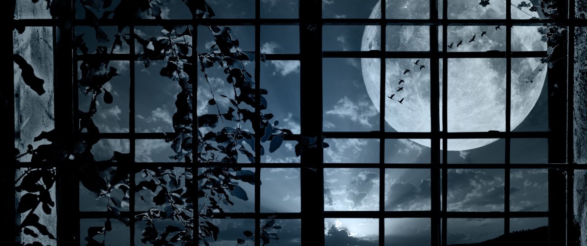 Ночное окно