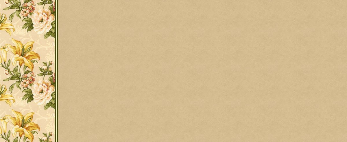 Графический фон для презентации