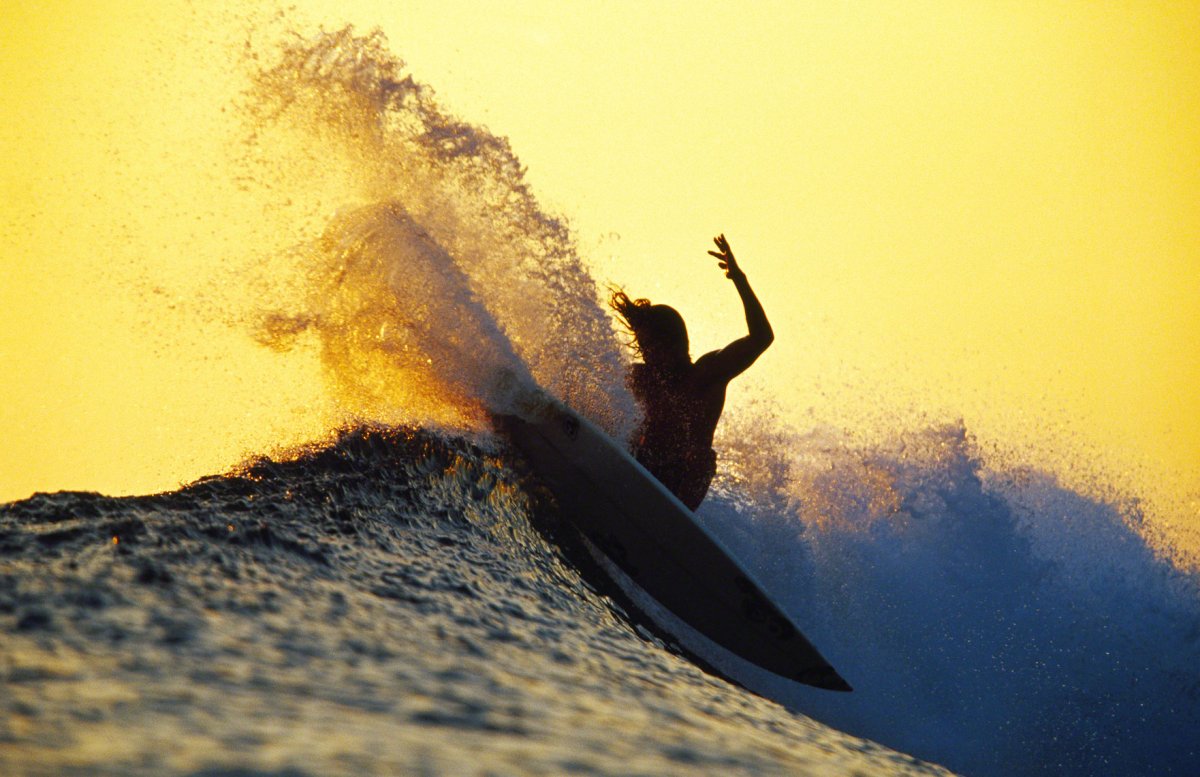 Серфинг от 1 лица