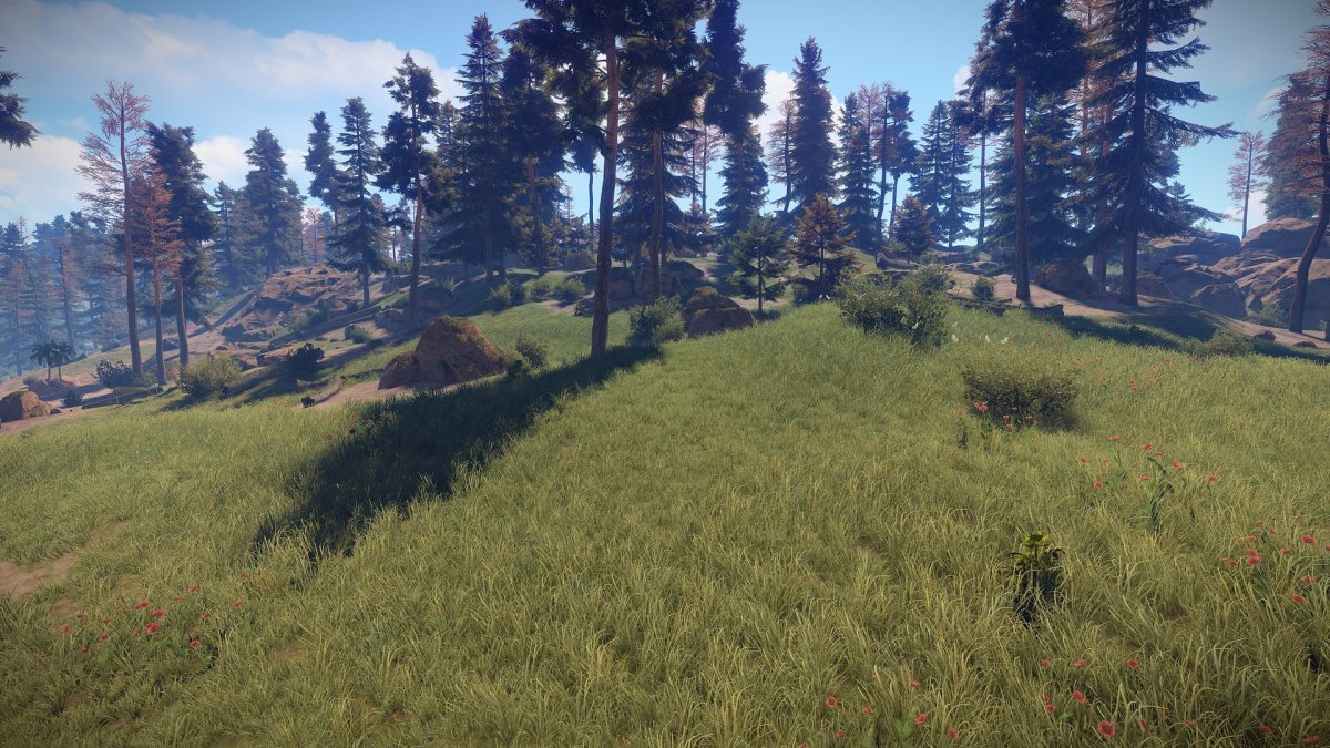 Красивый лес в играх