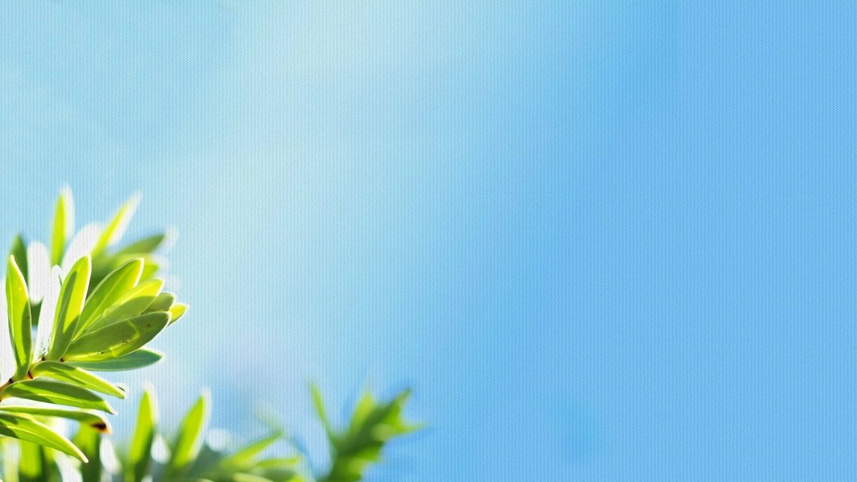 Сказочный фон